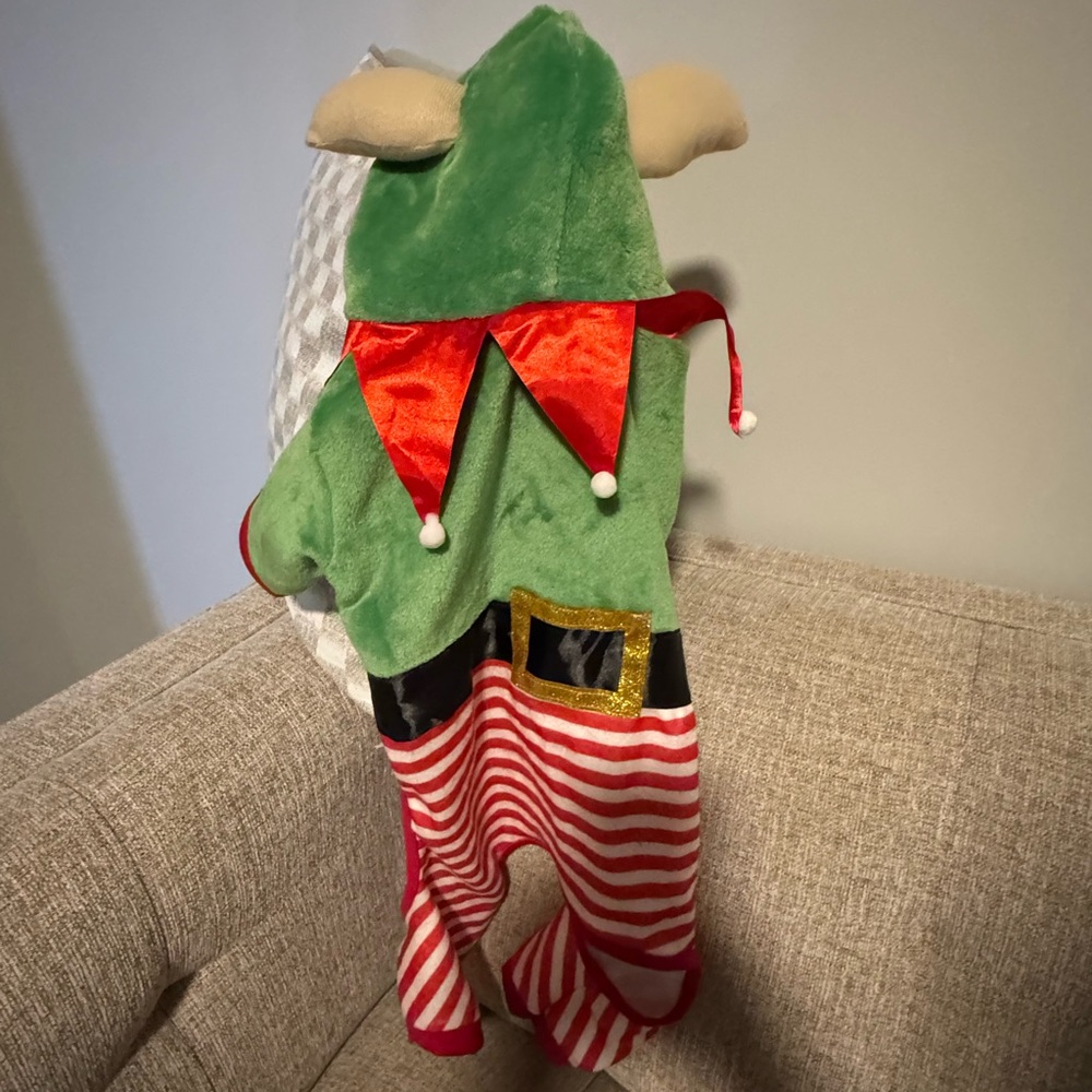 Pet Elf Costume with Hat